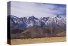 Stretched Canvas