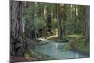 Wood Mount
