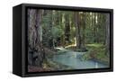Canvas Black