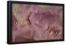 Essential Black