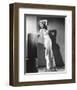 Rita Hayworth-null-Framed Photo