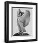 Rita Hayworth-null-Framed Photo