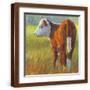 Brown Frame