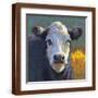 Brown Frame