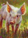 Piggy-Rita Kirkman-Art Print