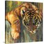 Stretched Canvas