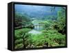 Ritsurin Park, Takamatsu, Shikoku, Japan-Dave Bartruff-Framed Stretched Canvas