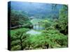 Ritsurin Park, Takamatsu, Shikoku, Japan-Dave Bartruff-Stretched Canvas