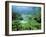 Ritsurin Park, Takamatsu, Shikoku, Japan-Dave Bartruff-Framed Premium Photographic Print