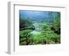 Ritsurin Park, Takamatsu, Shikoku, Japan-Dave Bartruff-Framed Photographic Print