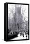 Rittenhouse Park, Philadelphia, Pennsylvania-null-Framed Stretched Canvas