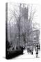 Rittenhouse Park, Philadelphia, Pennsylvania-null-Stretched Canvas