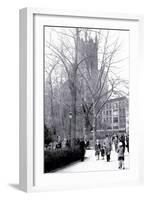 Rittenhouse Park, Philadelphia, Pennsylvania-null-Framed Art Print