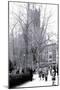 Rittenhouse Park, Philadelphia, Pennsylvania-null-Mounted Art Print