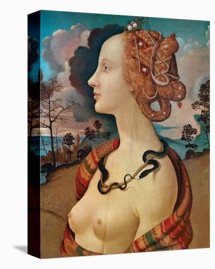 Rittrato di Simonetta Vespucci-Piero di Cosimo-Stretched Canvas