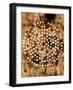 Ritual Alchemy Ii.-Petr Strnad-Framed Photographic Print