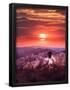 Essential Black