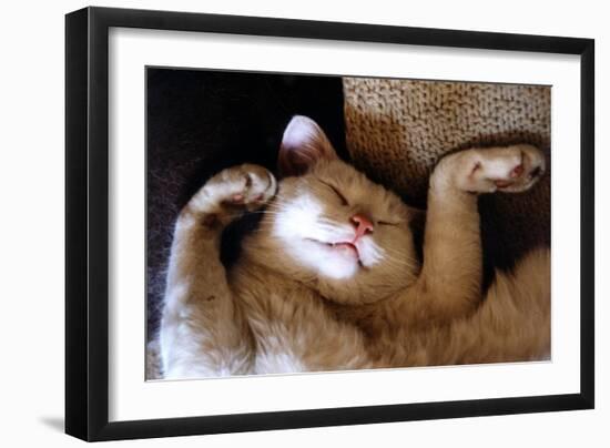 Ritz Fast Asleep-Hilary Evans-Framed Art Print