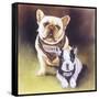 Rivals-Barbara Keith-Framed Stretched Canvas