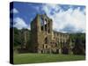 Riveaulx Abbey, Yorkshire, England, United Kingdom, Europe-Woolfitt Adam-Stretched Canvas
