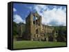 Riveaulx Abbey, Yorkshire, England, United Kingdom, Europe-Woolfitt Adam-Framed Stretched Canvas