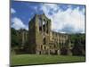 Riveaulx Abbey, Yorkshire, England, United Kingdom, Europe-Woolfitt Adam-Mounted Photographic Print