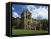Riveaulx Abbey, Yorkshire, England, United Kingdom, Europe-Woolfitt Adam-Framed Stretched Canvas