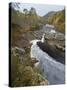 River Affric Flowing Through Silver Birch and Scots Pine Woodland in Autumn, Glen Affric, Scotland-Mark Hamblin-Stretched Canvas