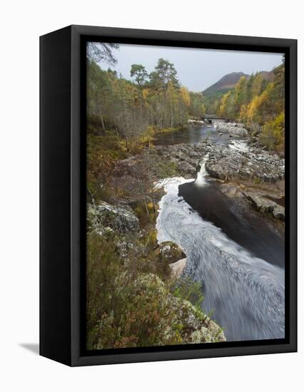 River Affric Flowing Through Silver Birch and Scots Pine Woodland in Autumn, Glen Affric, Scotland-Mark Hamblin-Framed Stretched Canvas