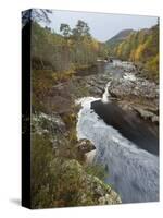 River Affric Flowing Through Silver Birch and Scots Pine Woodland in Autumn, Glen Affric, Scotland-Mark Hamblin-Stretched Canvas