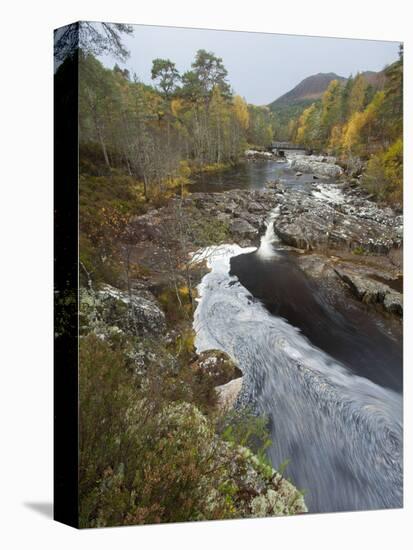 River Affric Flowing Through Silver Birch and Scots Pine Woodland in Autumn, Glen Affric, Scotland-Mark Hamblin-Stretched Canvas