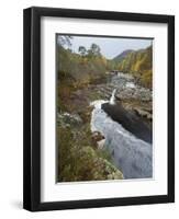 River Affric Flowing Through Silver Birch and Scots Pine Woodland in Autumn, Glen Affric, Scotland-Mark Hamblin-Framed Photographic Print