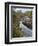 River Affric Flowing Through Silver Birch and Scots Pine Woodland in Autumn, Glen Affric, Scotland-Mark Hamblin-Framed Photographic Print