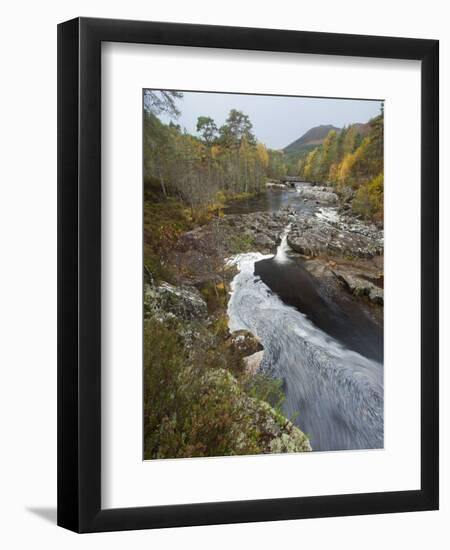 River Affric Flowing Through Silver Birch and Scots Pine Woodland in Autumn, Glen Affric, Scotland-Mark Hamblin-Framed Photographic Print