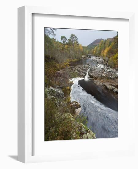 River Affric Flowing Through Silver Birch and Scots Pine Woodland in Autumn, Glen Affric, Scotland-Mark Hamblin-Framed Photographic Print