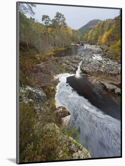 River Affric Flowing Through Silver Birch and Scots Pine Woodland in Autumn, Glen Affric, Scotland-Mark Hamblin-Mounted Photographic Print