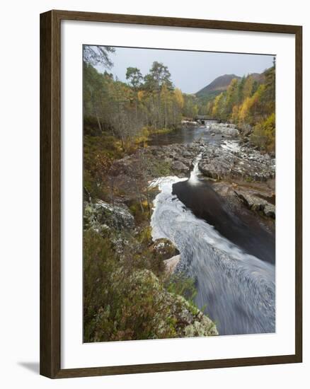River Affric Flowing Through Silver Birch and Scots Pine Woodland in Autumn, Glen Affric, Scotland-Mark Hamblin-Framed Photographic Print