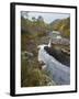 River Affric Flowing Through Silver Birch and Scots Pine Woodland in Autumn, Glen Affric, Scotland-Mark Hamblin-Framed Photographic Print