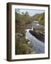 River Affric Flowing Through Silver Birch and Scots Pine Woodland in Autumn, Glen Affric, Scotland-Mark Hamblin-Framed Photographic Print