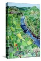 River Agung, Bali, 1996-Hilary Simon-Stretched Canvas