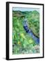 River Agung, Bali, 1996-Hilary Simon-Framed Giclee Print