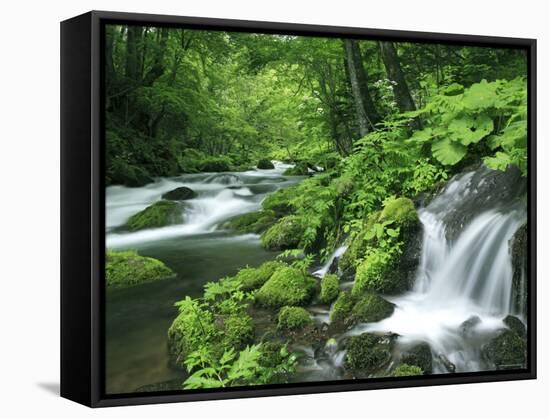 River Akan-null-Framed Stretched Canvas