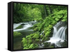 River Akan-null-Framed Stretched Canvas