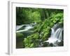River Akan-null-Framed Photographic Print