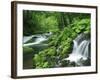 River Akan-null-Framed Photographic Print
