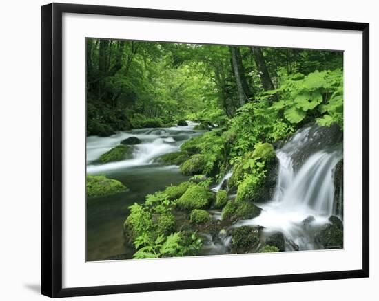 River Akan-null-Framed Photographic Print