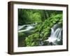 River Akan-null-Framed Photographic Print