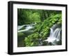 River Akan-null-Framed Photographic Print