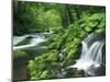 River Akan-null-Mounted Photographic Print