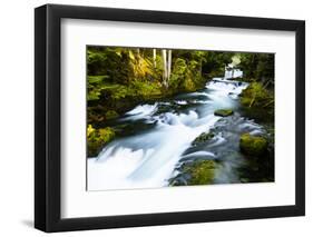 River amidst forest, Portland, Oregon, USA-Panoramic Images-Framed Photographic Print